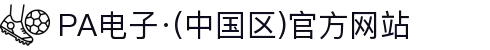 PA电子·(中国区)官方网站
