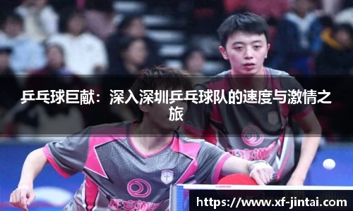 乒乓球巨献：深入深圳乒乓球队的速度与激情之旅